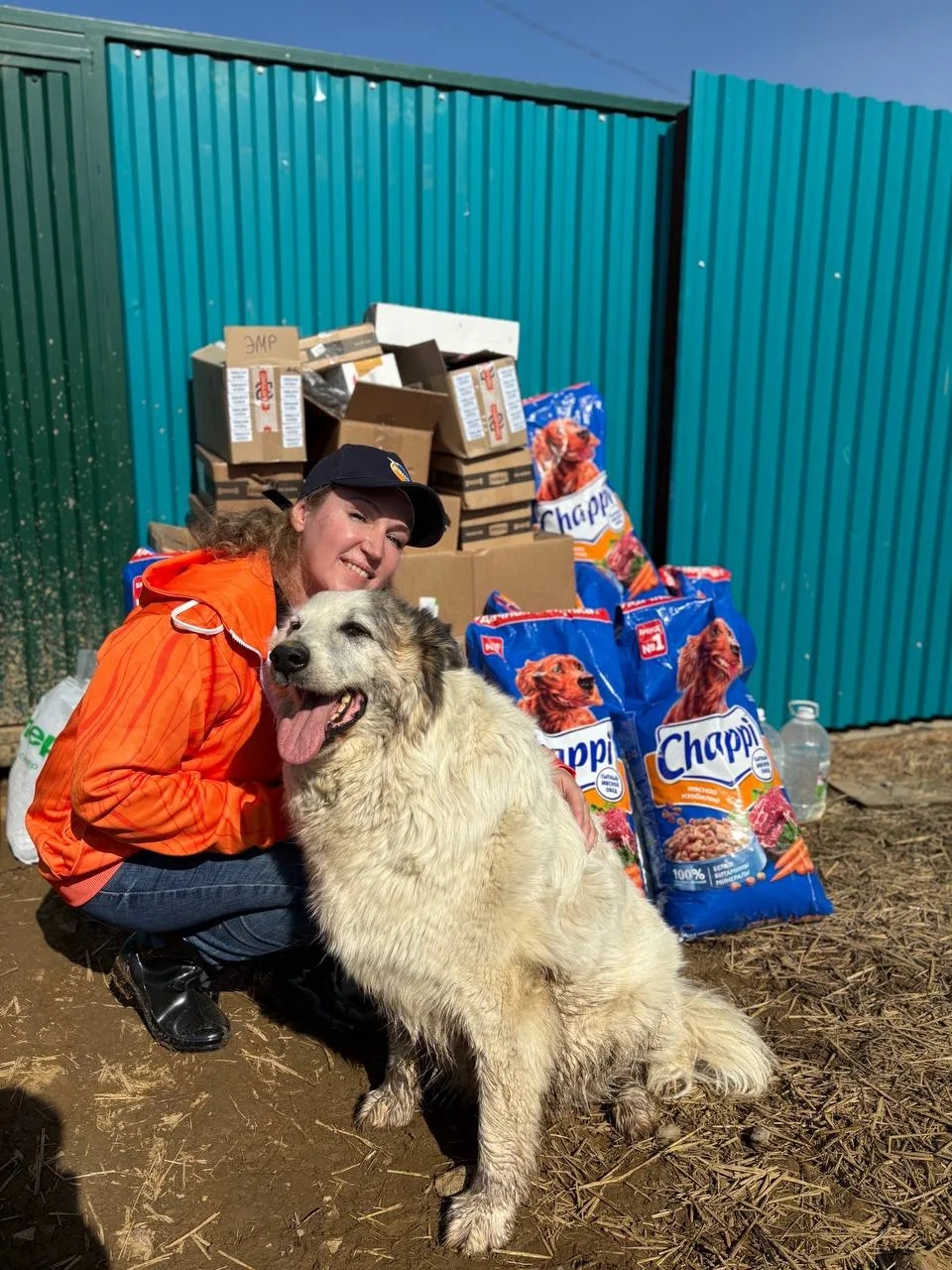 СОБАКА - ДРУГ ЧЕЛОВЕКА